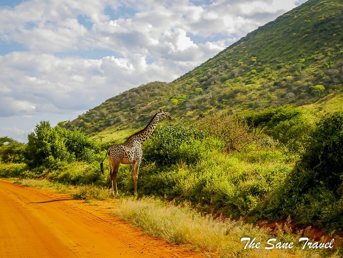 47-serena-tsavo-west-kenya-thesanetravel.com-1500918