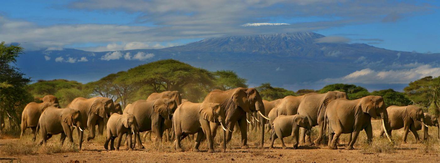 Amboseli-National-Park (1)