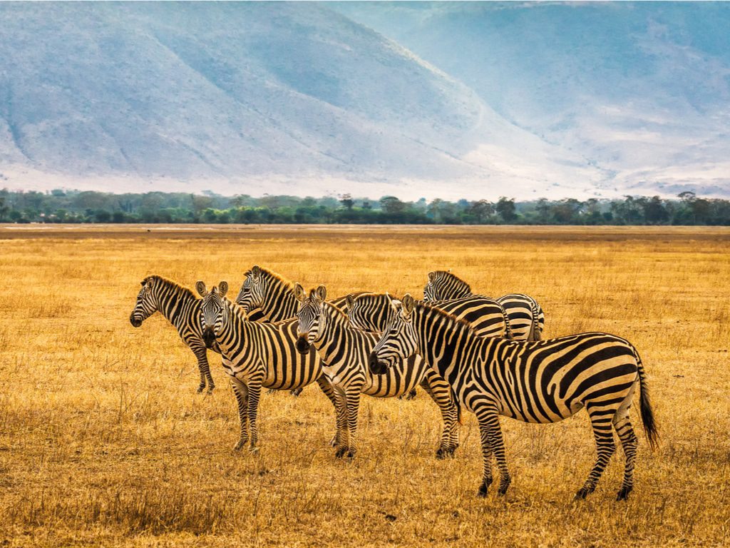 Reserve-Ngorongoro-1