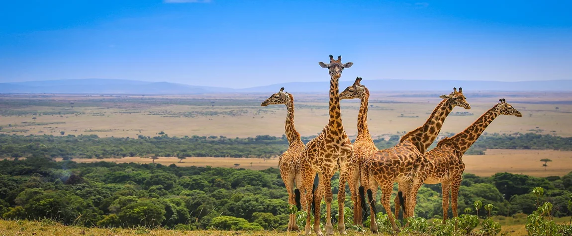 The-9-Best-Attractions-in-Masai-Mara-National-Reserve-in-Kenya