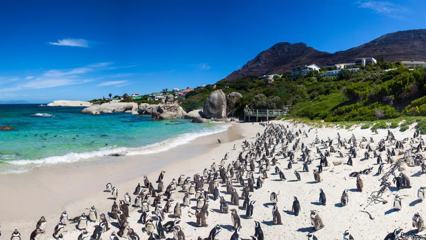 cape-point-tour-families