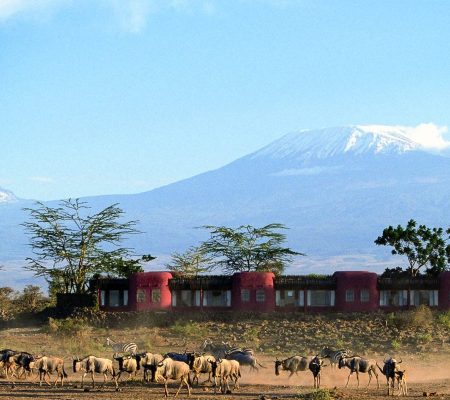 Amboseli-National-Park-Serena-lodge