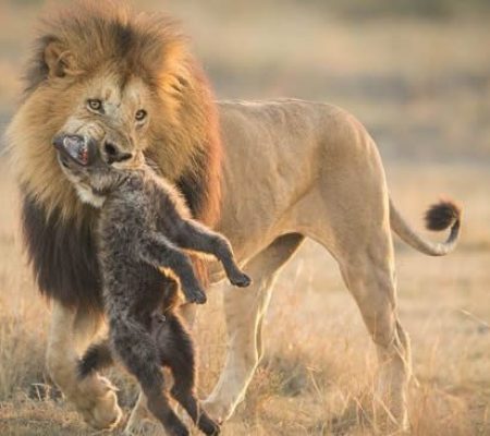 Amboseli-National-Park