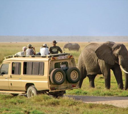 Game-drive-in-Amboseli-national-park
