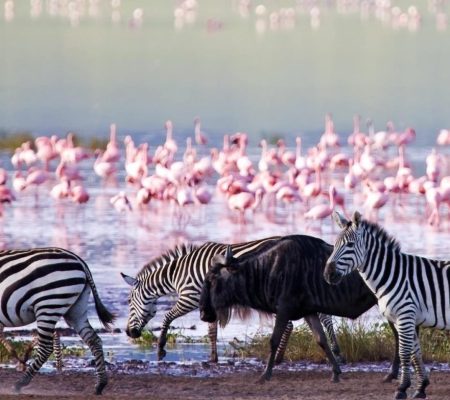 MAIN-Classic Northern Tanzania-Ngorongoro Crater
