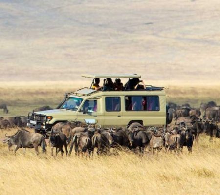 Serengeti-National-Park-2-750x450