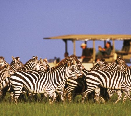 TA-Singita-Grumeti