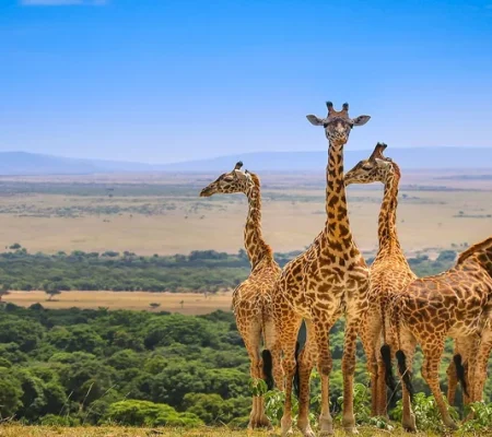 The-9-Best-Attractions-in-Masai-Mara-National-Reserve-in-Kenya