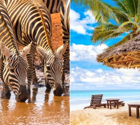 a-taste-of-kenya-and-mombasa