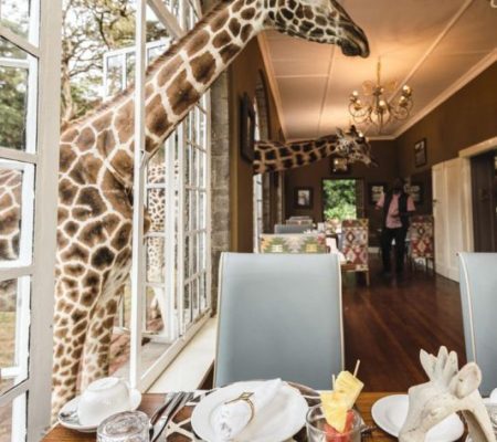 bc43b9b1f32545c37556277b7b8f3fb8