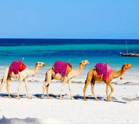 diani-beach-safari-bg1