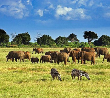 kenya-tsavo-national-park