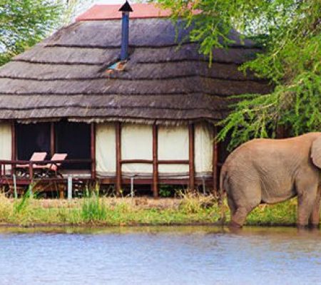 kruger-national-park-safari-lodges-fp-500x290