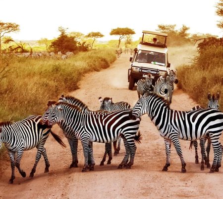 safari-Tsavo-kenya