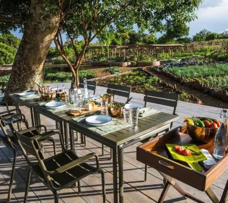 the-shamba-angama-mara