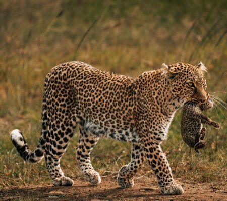 tsavo-west-national-park-1200x800