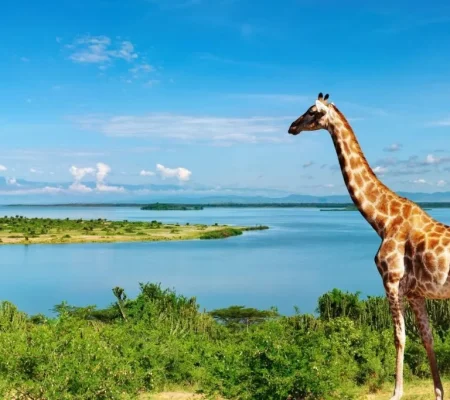 where-to-go-places-to-visit-uganda-trip-1024x683